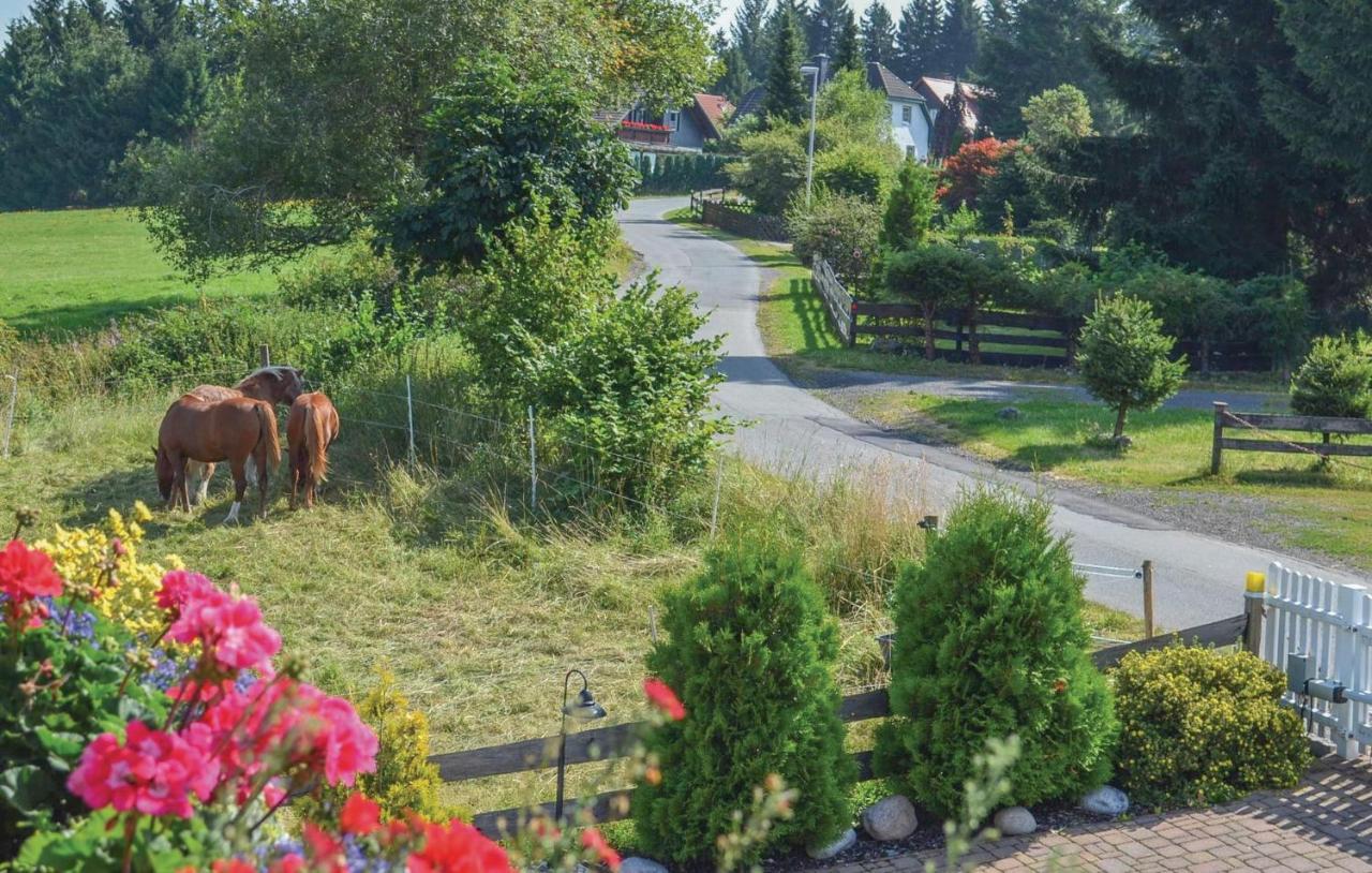 Galerie Haus Villa Braunlage Eksteriør billede