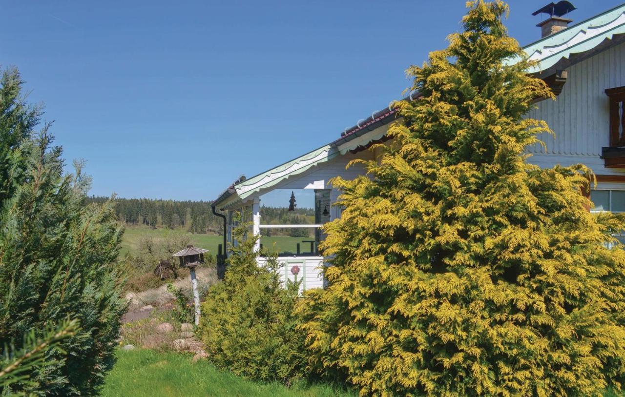 Galerie Haus Villa Braunlage Eksteriør billede